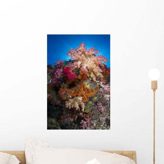 Soft Coral Raja Ampat Wall Decal Design 5