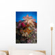 Soft Coral Raja Ampat Wall Decal Design 5