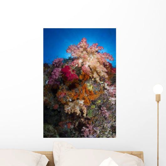 Soft Coral Raja Ampat Wall Decal Design 5