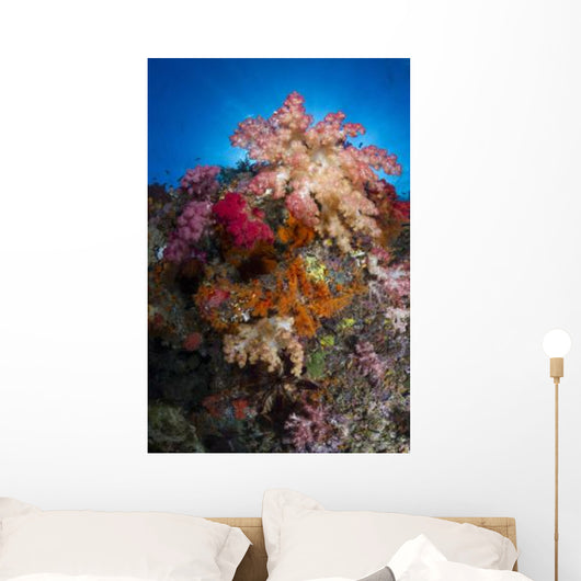 Soft Coral Raja Ampat Wall Decal Design 5