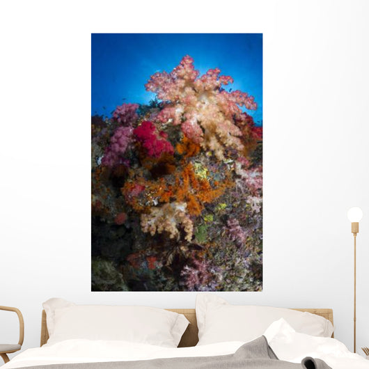 Soft Coral Raja Ampat Wall Decal Design 5