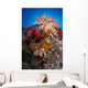 Soft Coral Raja Ampat Wall Decal Design 5