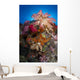 Soft Coral Raja Ampat Wall Decal Design 5