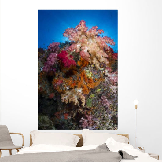 Soft Coral Raja Ampat Wall Decal Design 5