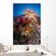 Soft Coral Raja Ampat Wall Decal Design 5
