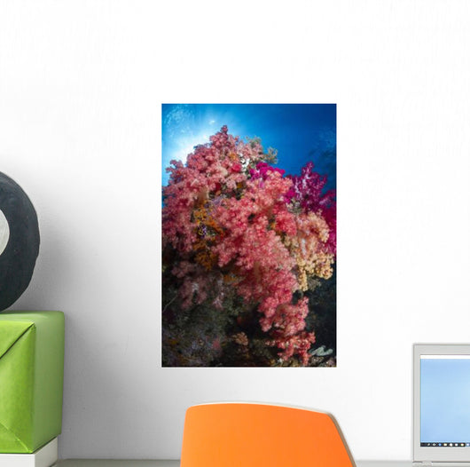 Soft Coral Raja Ampat Wall Decal Design 4