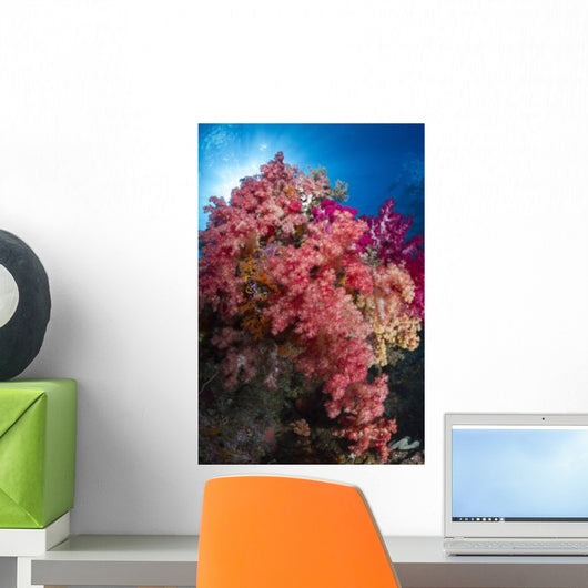 Soft Coral Raja Ampat Wall Decal Design 4