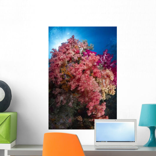 Soft Coral Raja Ampat Wall Decal Design 4