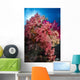 Soft Coral Raja Ampat Wall Decal Design 4