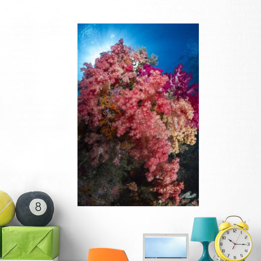 Soft Coral Raja Ampat Wall Decal Design 4