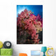 Soft Coral Raja Ampat Wall Decal Design 4