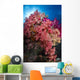 Soft Coral Raja Ampat Wall Decal Design 4