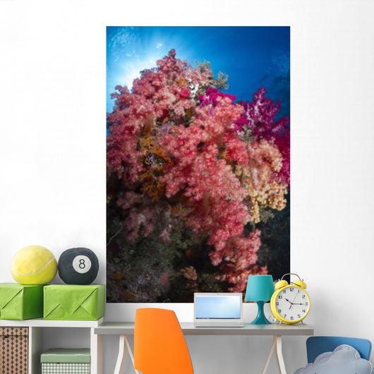 Soft Coral Raja Ampat Wall Decal Design 4