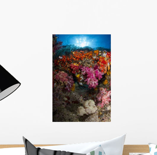 Soft Coral Raja Ampat Wall Decal Design 3