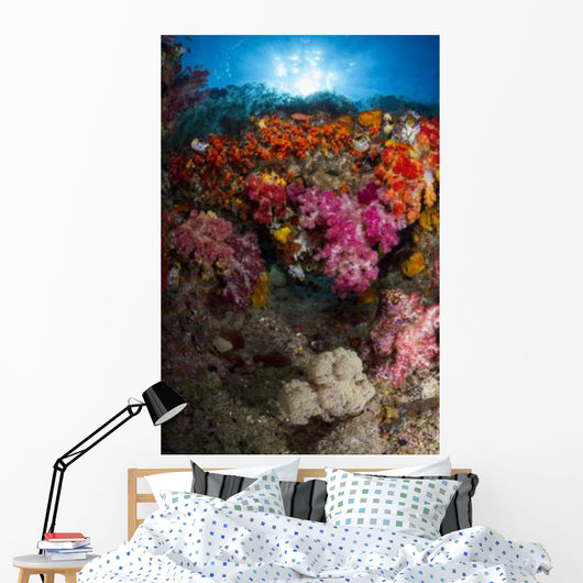 Soft Coral Raja Ampat Wall Decal Design 3