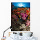 Soft Coral Raja Ampat Wall Decal Design 3