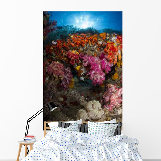 Soft Coral Raja Ampat Wall Decal Design 3