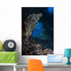 Diver Boo Windows Raja Wall Decal