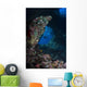 Diver Boo Windows Raja Wall Decal