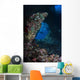 Diver Boo Windows Raja Wall Decal