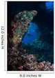 Diver Boo Windows Raja Wall Decal