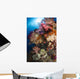 Soft Coral Raja Ampat Wall Decal Design 2