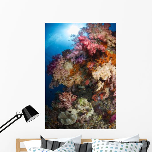 Soft Coral Raja Ampat Wall Decal Design 2