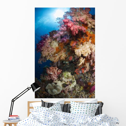 Soft Coral Raja Ampat Wall Decal Design 2