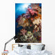 Soft Coral Raja Ampat Wall Decal Design 2
