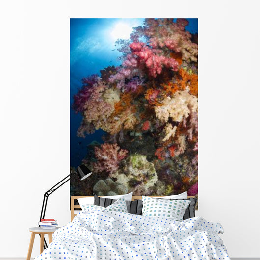 Soft Coral Raja Ampat Wall Decal Design 2
