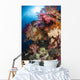 Soft Coral Raja Ampat Wall Decal Design 2