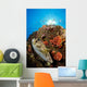 Pufferfish and Reef La Wall Decal