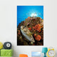 Pufferfish and Reef La Wall Decal