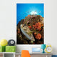 Pufferfish and Reef La Wall Decal
