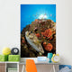 Pufferfish and Reef La Wall Decal