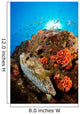 Pufferfish and Reef La Wall Decal