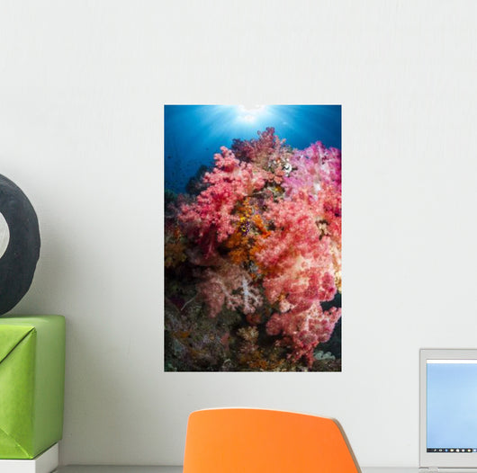 Soft Coral Raja Ampat Wall Decal Design 1