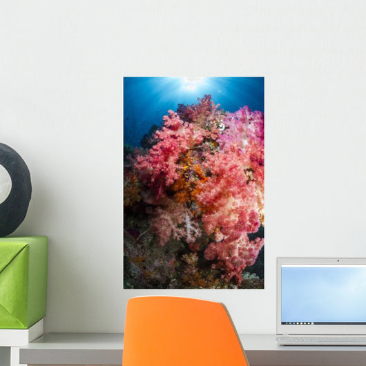 Soft Coral Raja Ampat Wall Decal Design 1