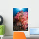Soft Coral Raja Ampat Wall Decal Design 1