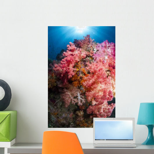 Soft Coral Raja Ampat Wall Decal Design 1