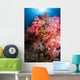 Soft Coral Raja Ampat Wall Decal Design 1