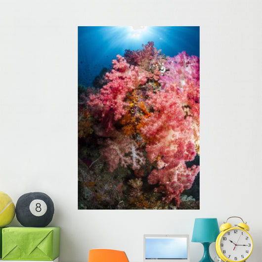 Soft Coral Raja Ampat Wall Decal Design 1