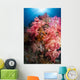 Soft Coral Raja Ampat Wall Decal Design 1