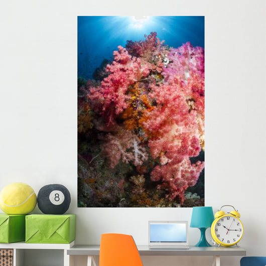 Soft Coral Raja Ampat Wall Decal Design 1