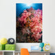 Soft Coral Raja Ampat Wall Decal Design 1