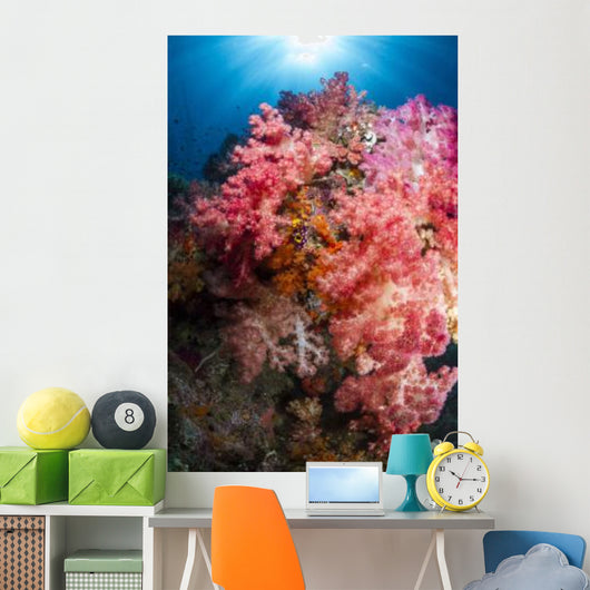 Soft Coral Raja Ampat Wall Decal Design 1