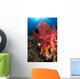 Red Sea Fan and Wall Decal