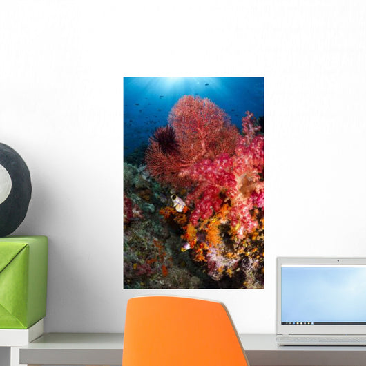 Red Sea Fan and Wall Decal