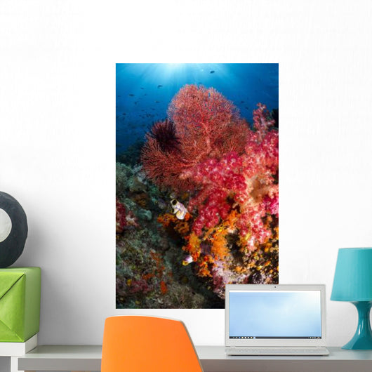 Red Sea Fan and Wall Decal