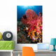 Red Sea Fan and Wall Decal